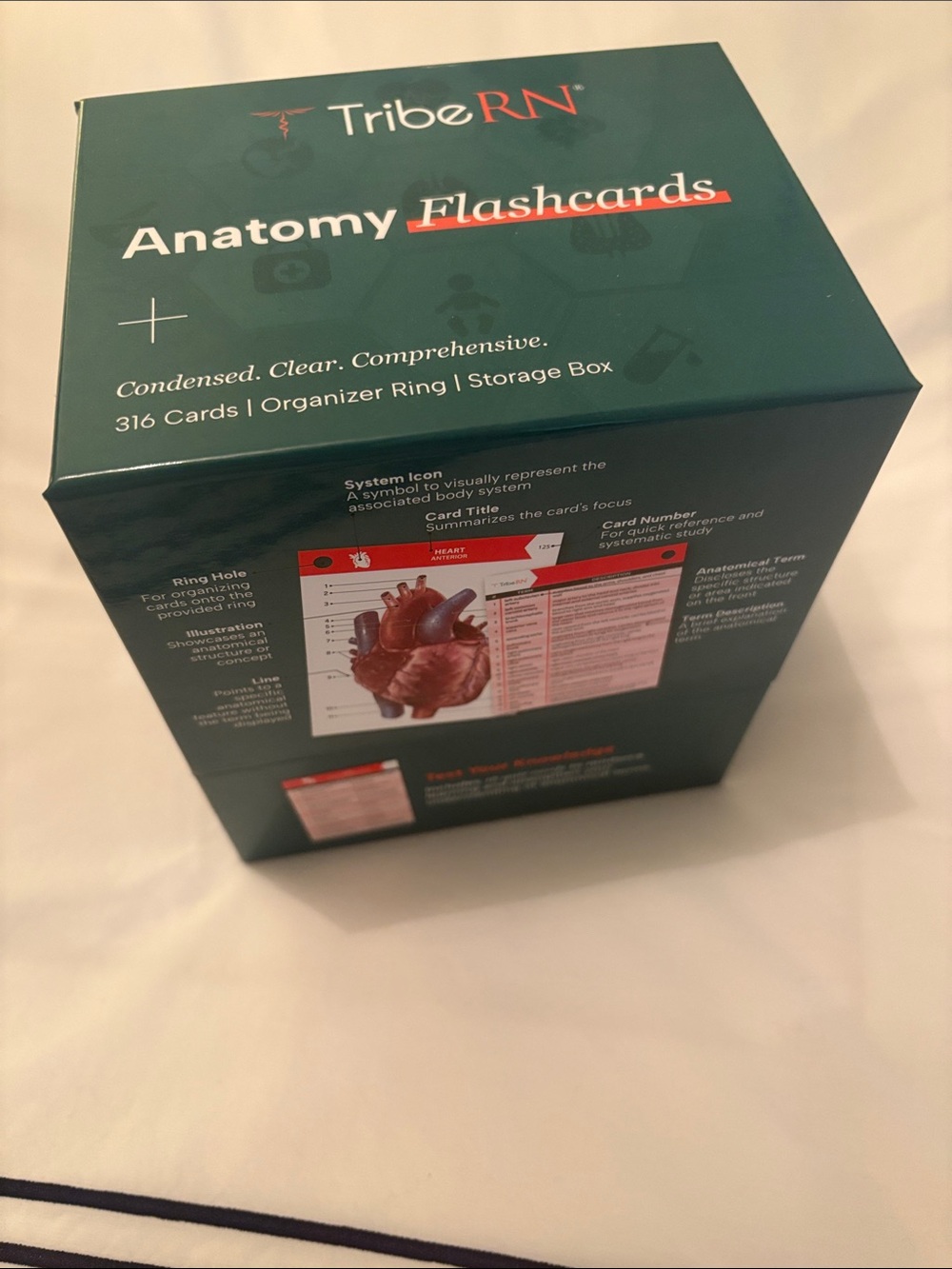 TribeRN Anatomy Flashcards - Teal Box
